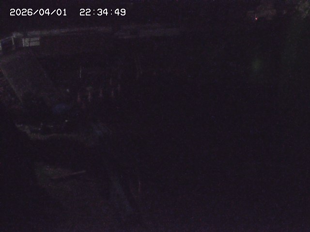 取得できませんでした