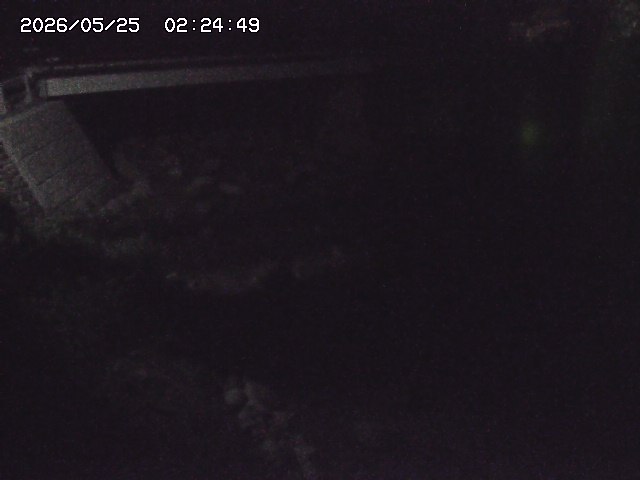 取得できませんでした
