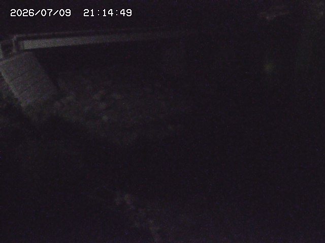 取得できませんでした