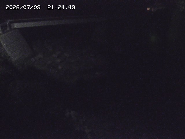 取得できませんでした