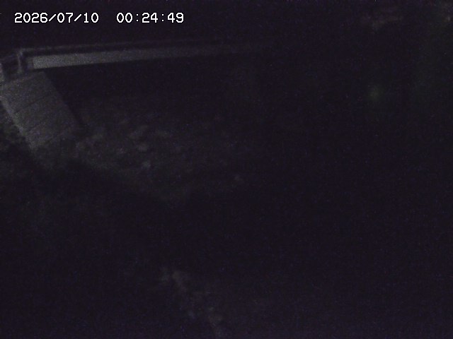 取得できませんでした