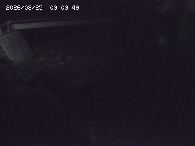 取得できませんでした