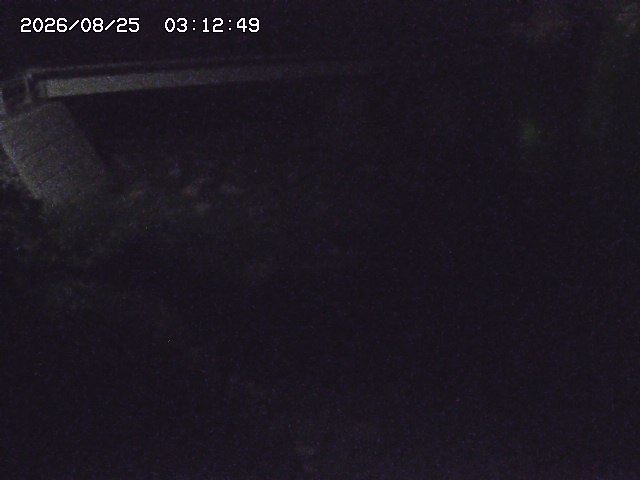 取得できませんでした