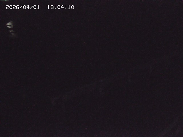 取得できませんでした