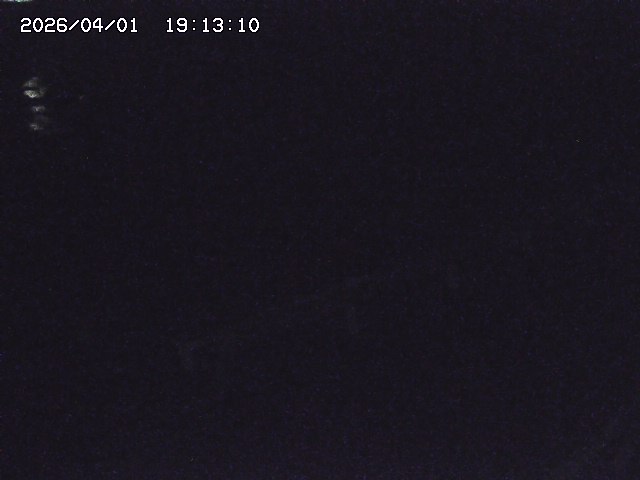 取得できませんでした