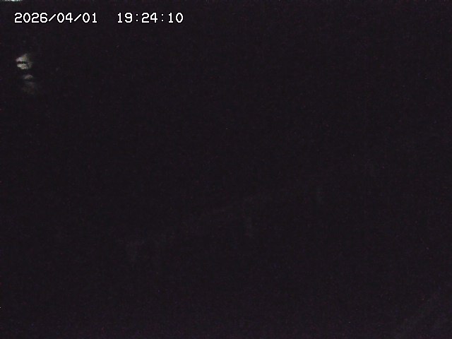 取得できませんでした