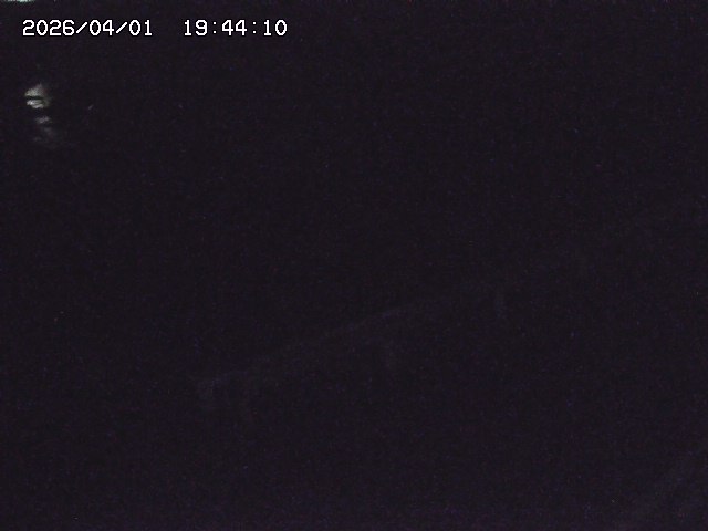 取得できませんでした