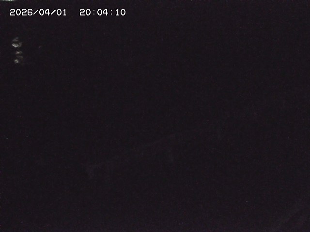 取得できませんでした