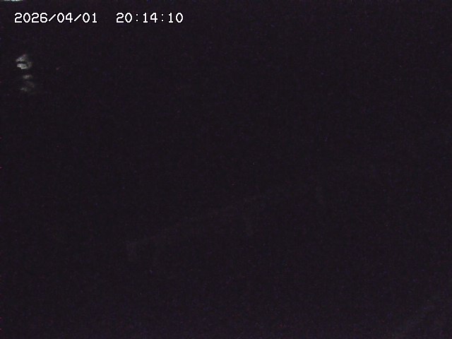 取得できませんでした