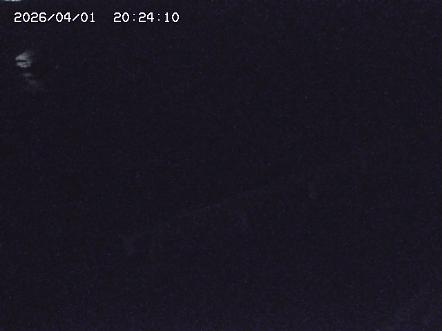 取得できませんでした