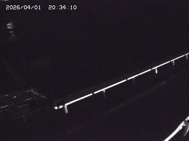 取得できませんでした