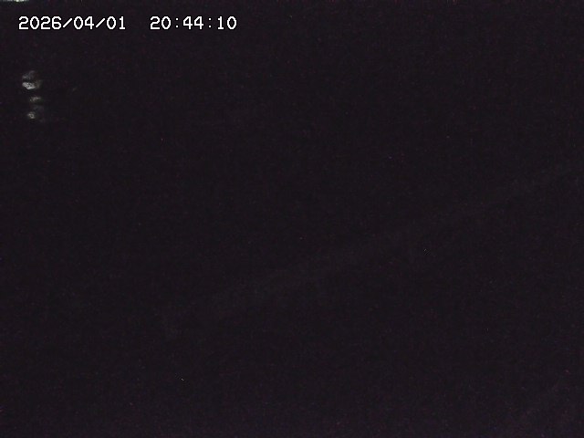 取得できませんでした