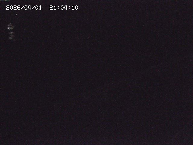 取得できませんでした