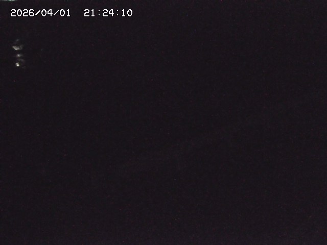 取得できませんでした