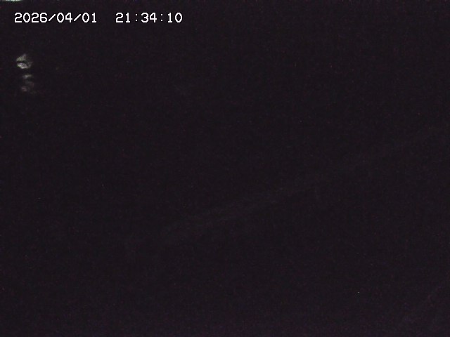 取得できませんでした