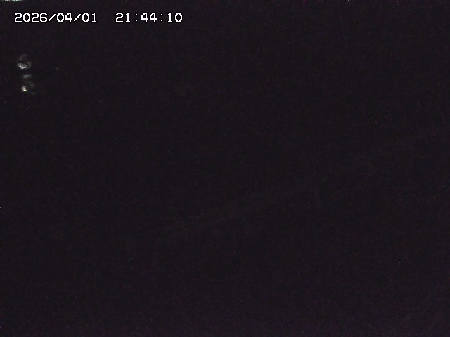 取得できませんでした