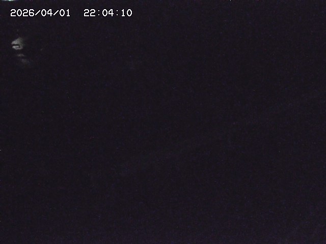 取得できませんでした