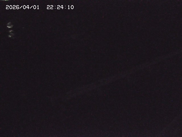 取得できませんでした