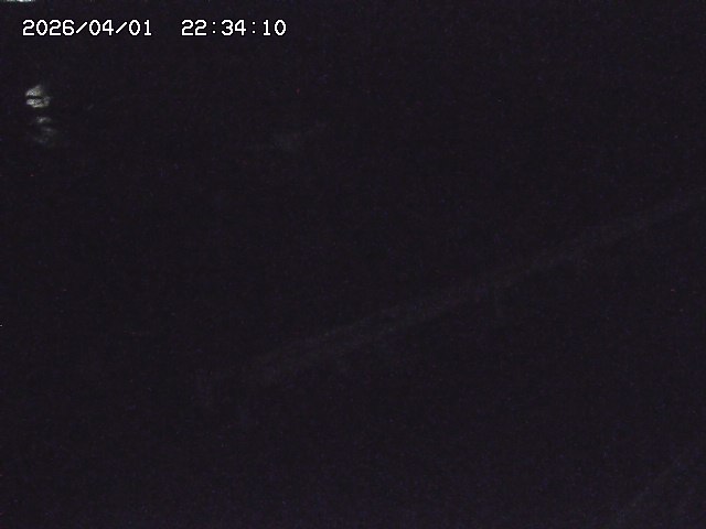 取得できませんでした