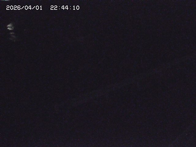 取得できませんでした