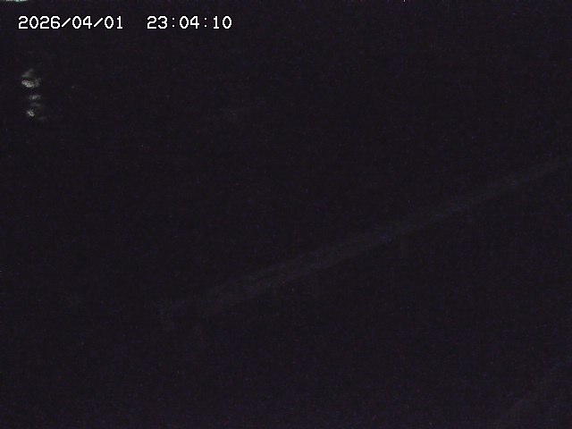 取得できませんでした