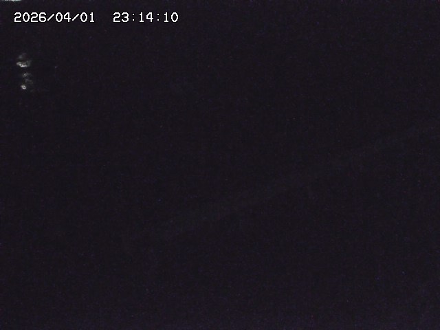 取得できませんでした