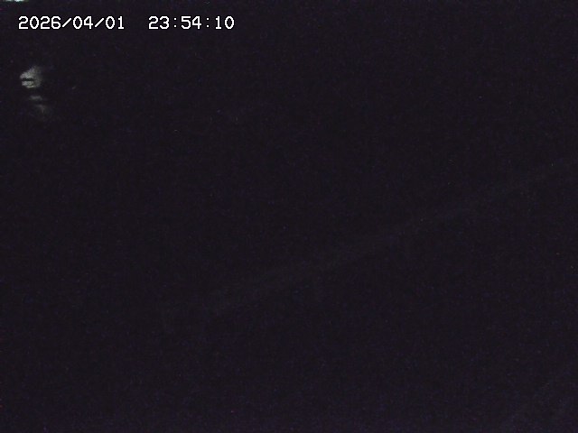 取得できませんでした