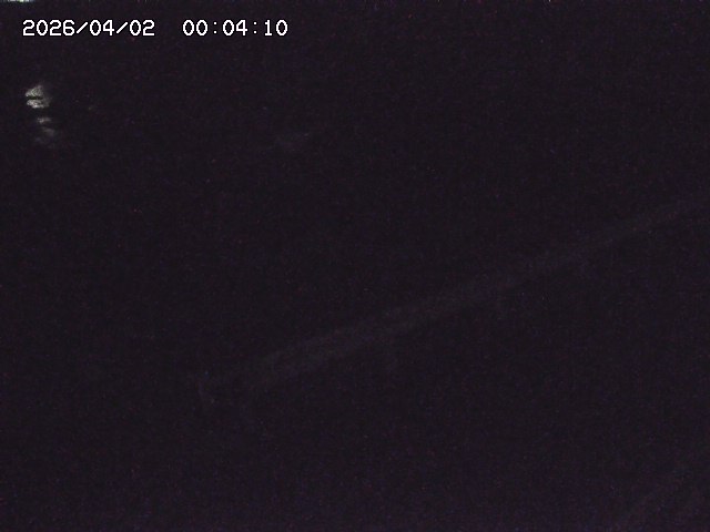 取得できませんでした