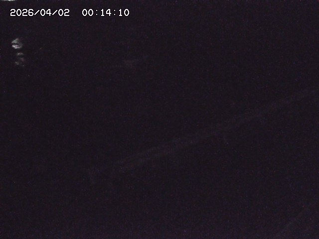 取得できませんでした