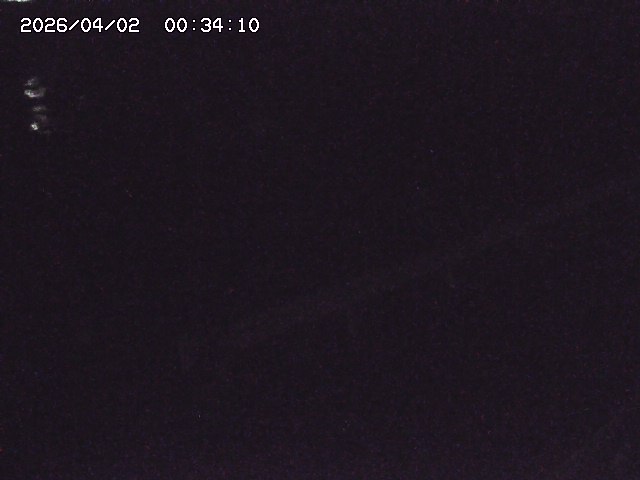 取得できませんでした