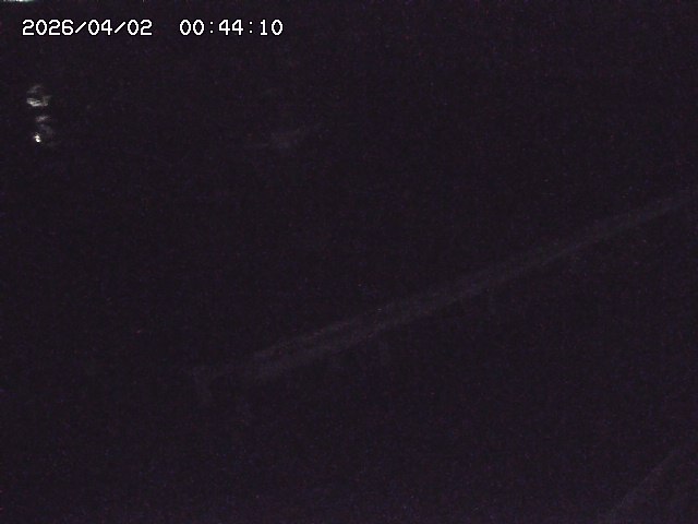 取得できませんでした