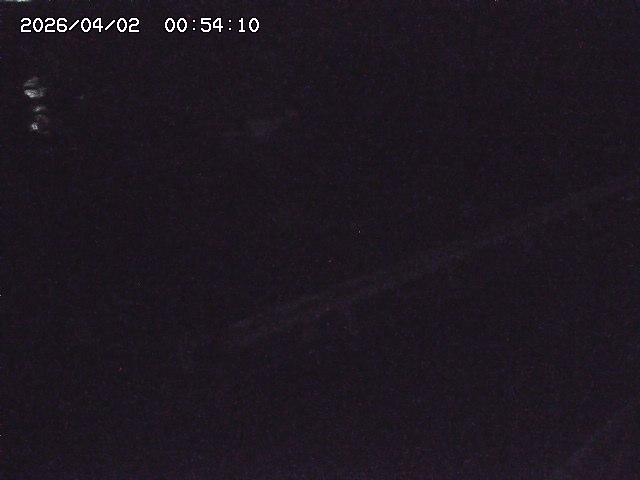 取得できませんでした