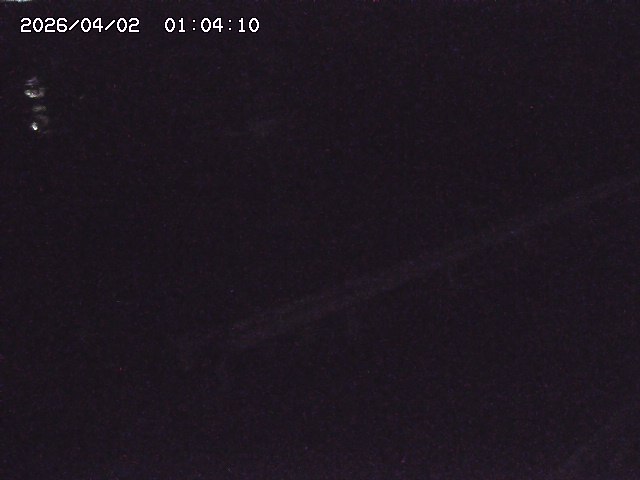 取得できませんでした