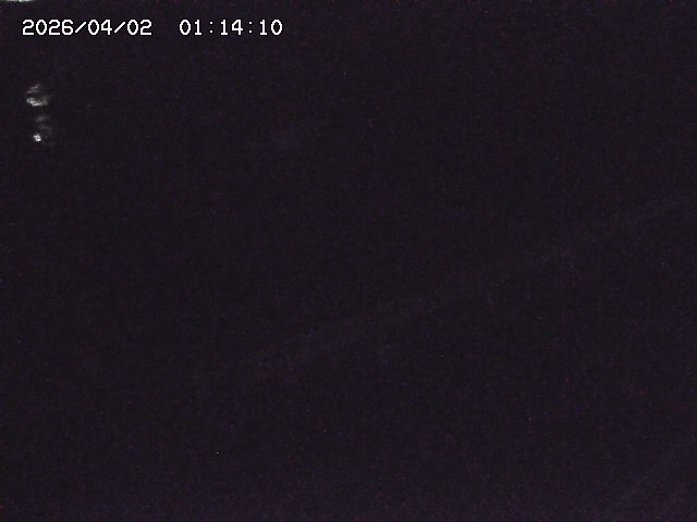 取得できませんでした