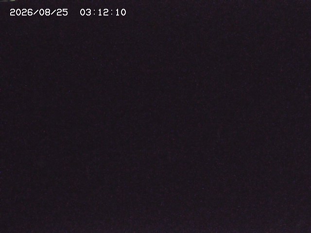 取得できませんでした
