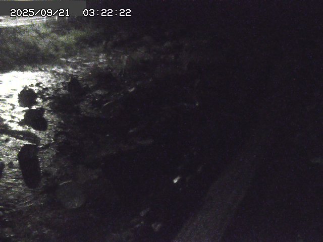 取得できませんでした
