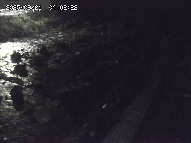 取得できませんでした