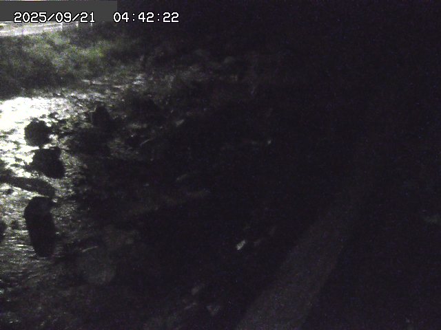 取得できませんでした