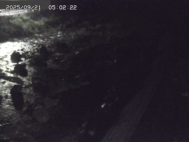 取得できませんでした