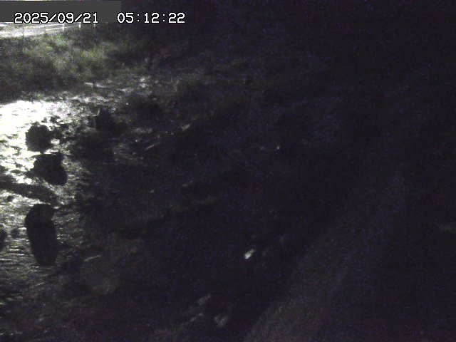 取得できませんでした