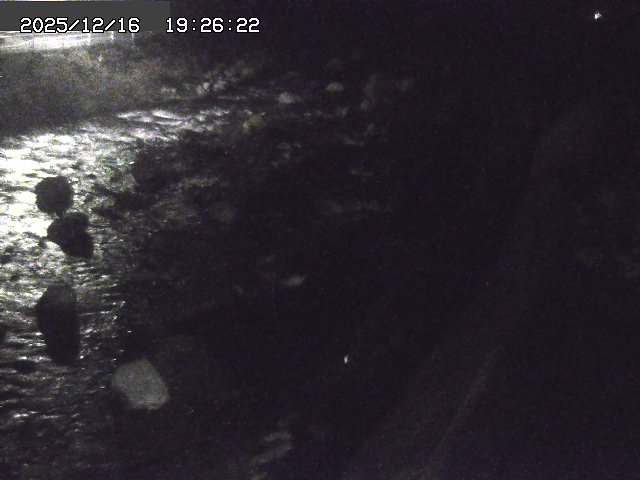 取得できませんでした