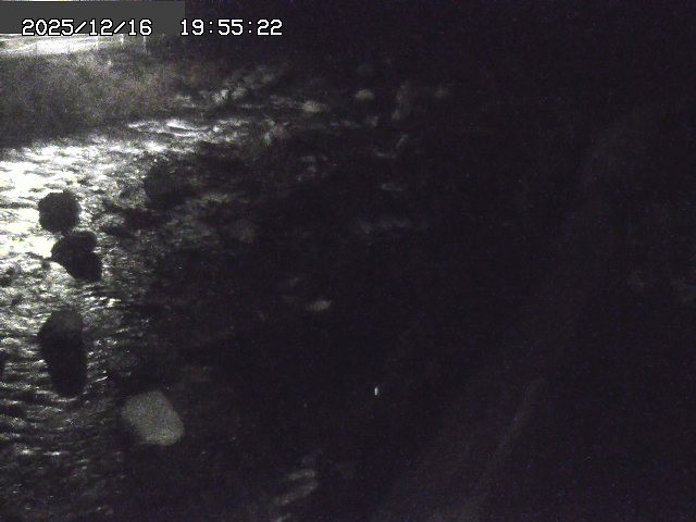 取得できませんでした