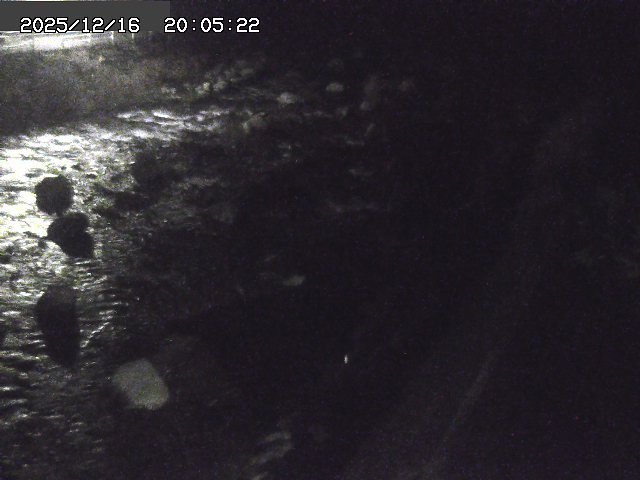 取得できませんでした