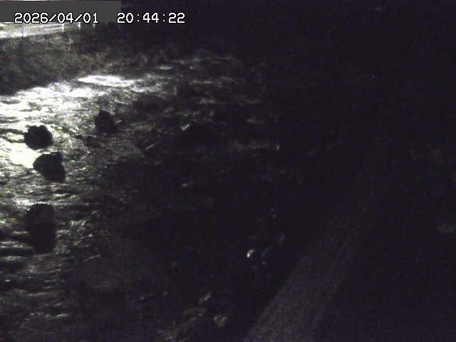 取得できませんでした