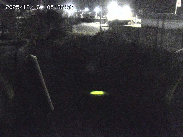 取得できませんでした