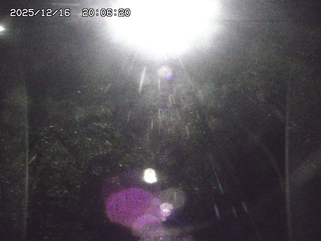 取得できませんでした