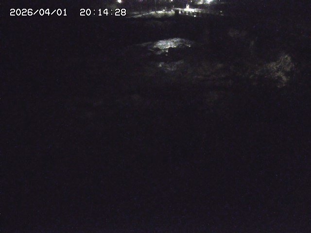 取得できませんでした