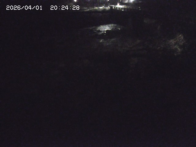 取得できませんでした