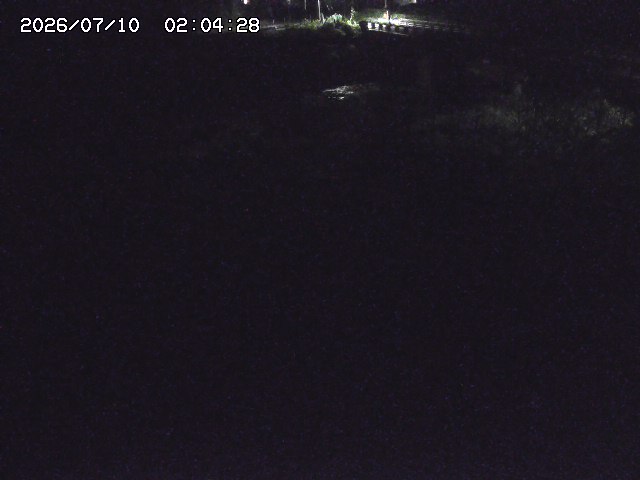 取得できませんでした