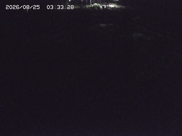 取得できませんでした